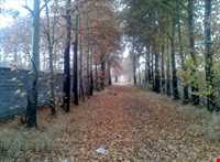 روستای فرخ آباد و زیبادشت