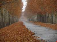 روستای فرخ آباد و زیبادشت