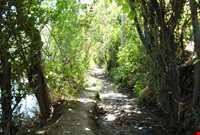 حاشیه زاینده رود