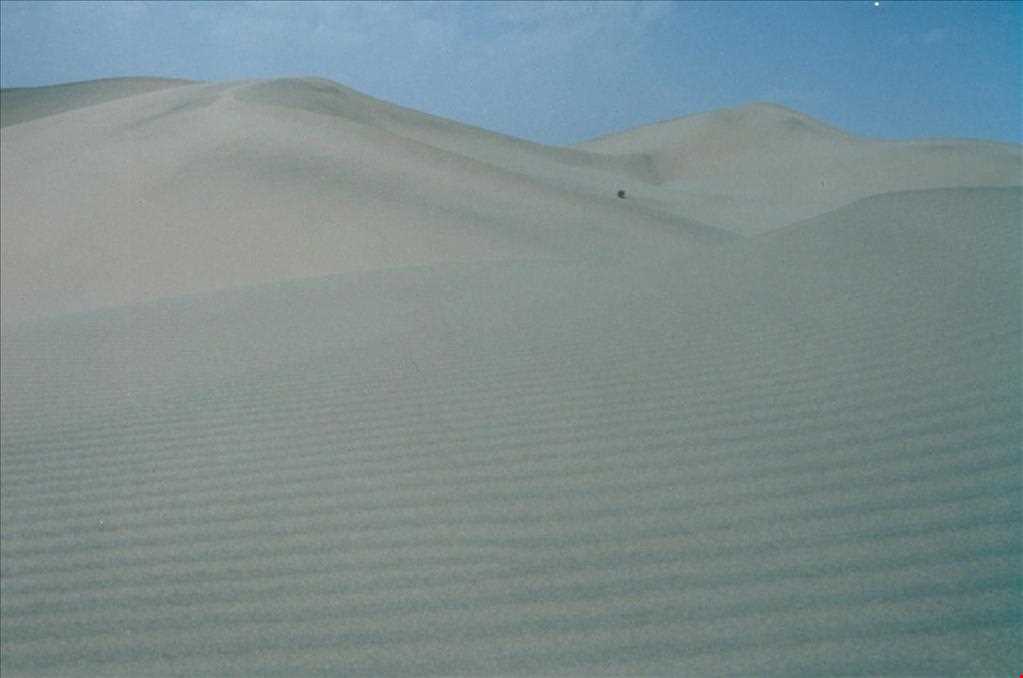 ریگزار شن روان صادق آباد