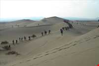 ریگزار شن روان صادق آباد