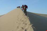 ریگزار شن روان صادق آباد