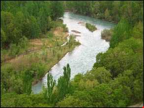 حاشیه رود کارون