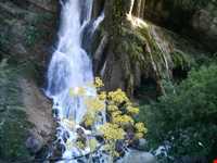 آبشار آب سفید