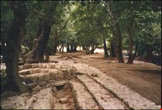 دریاچه شلمزار