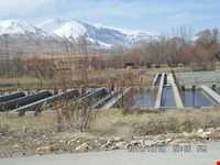 دریاچه شلمزار