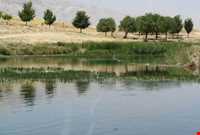 دریاچه شلمزار