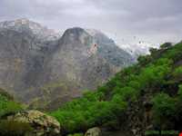 دره و آبشار عشق