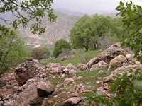 دره و آبشار عشق