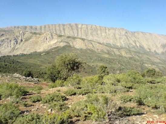 Hashtad Pahloo hunting prohibited region