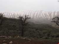 Hashtad Pahloo hunting prohibited region