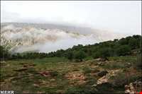 Hashtad Pahloo hunting prohibited region