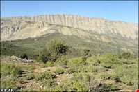 Hashtad Pahloo hunting prohibited region