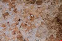 سنگ نگاره‌های هومیان