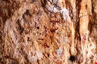 سنگ نگاره‌های هومیان