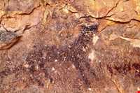 سنگ نگاره‌های هومیان