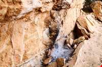 سنگ نگاره‌های هومیان