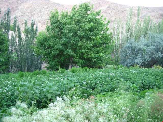 Typical tourism area Of Quhistan