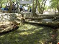 Sarcheshmeh Nahr -e Masih Park