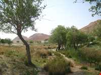 Sarcheshmeh Nahr -e Masih Park