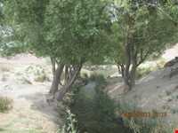 Sarcheshmeh Nahr -e Masih Park