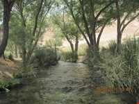 Sarcheshmeh Nahr -e Masih Park