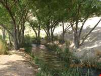 Sarcheshmeh Nahr -e Masih Park