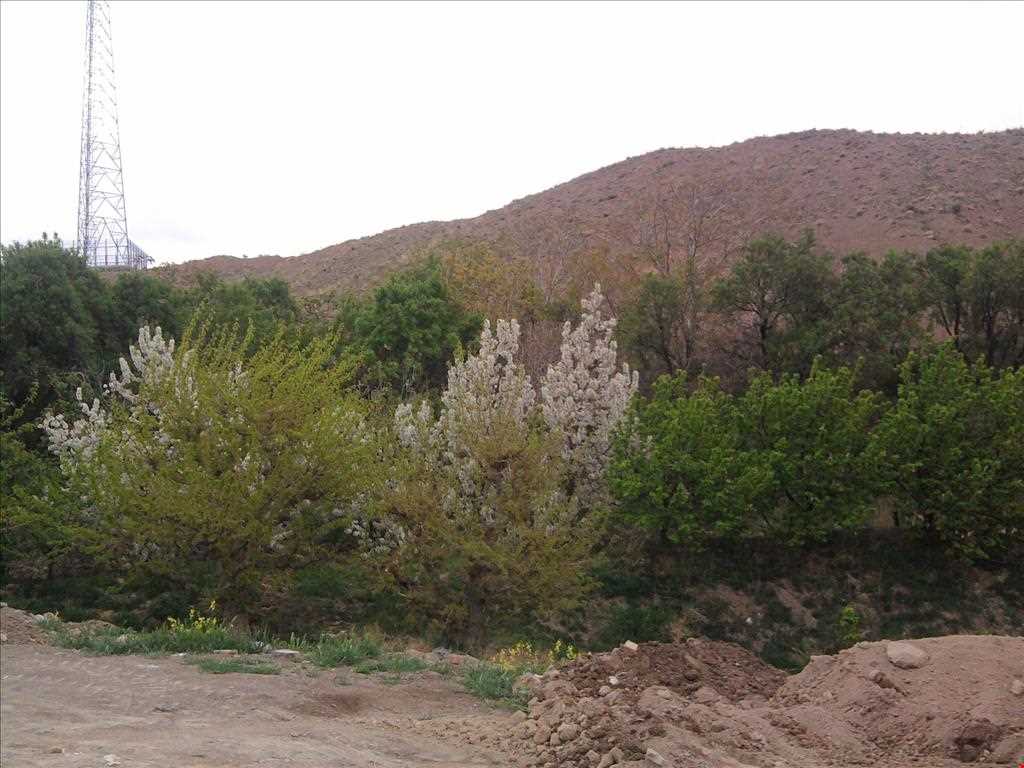 روستای بیدسکان