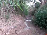 روستای بیدسکان