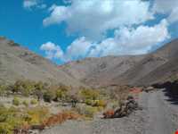 روستای بیدسکان