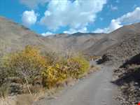 روستای بیدسکان