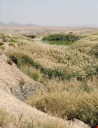 روستای برکوه