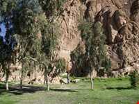 Anobanini bas-relief