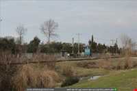 Emam Zade Habib-o Allah Nokande