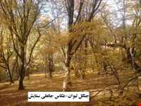 Kohne Kolbad village