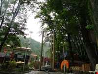 پارک جنگلی ناهارخوران