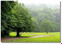 پارک جنگلی ناهارخوران