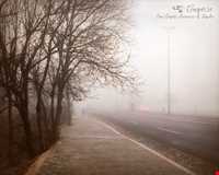 پارک جنگلی ناهارخوران