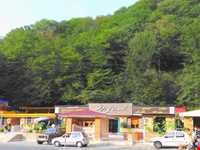 پارک جنگلی ناهارخوران