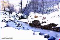 پارک جنگلی ناهارخوران