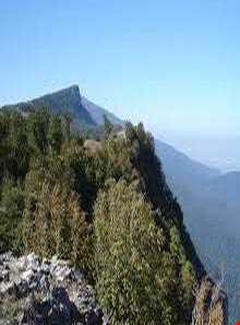 منطقه حفاظت شده جهان نما