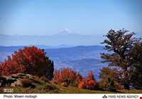 منطقه حفاظت شده جهان نما