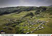 منطقه حفاظت شده جهان نما