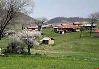 منطقه حفاظت شده جهان نما