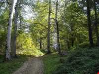 منطقه حفاظت شده جهان نما