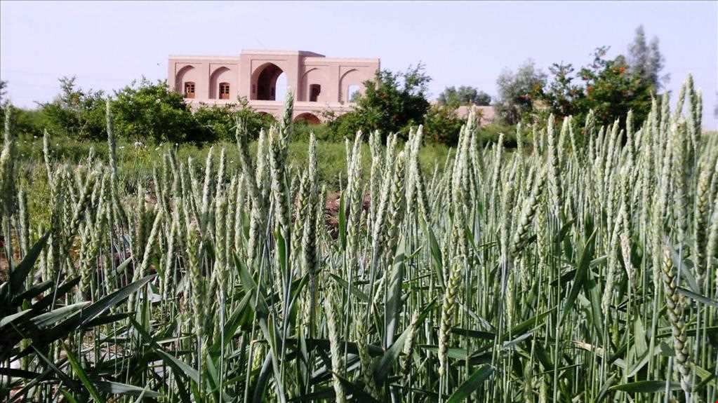 Hojat Abad E Vazir Historical Complex
