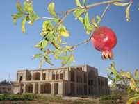 Hojat Abad E Vazir Historical Complex