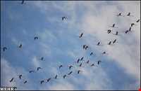 تالاب گمیشان