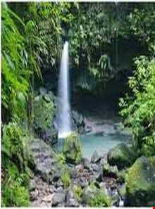 پارک ملی گلستان