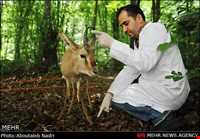 Golestan National Park